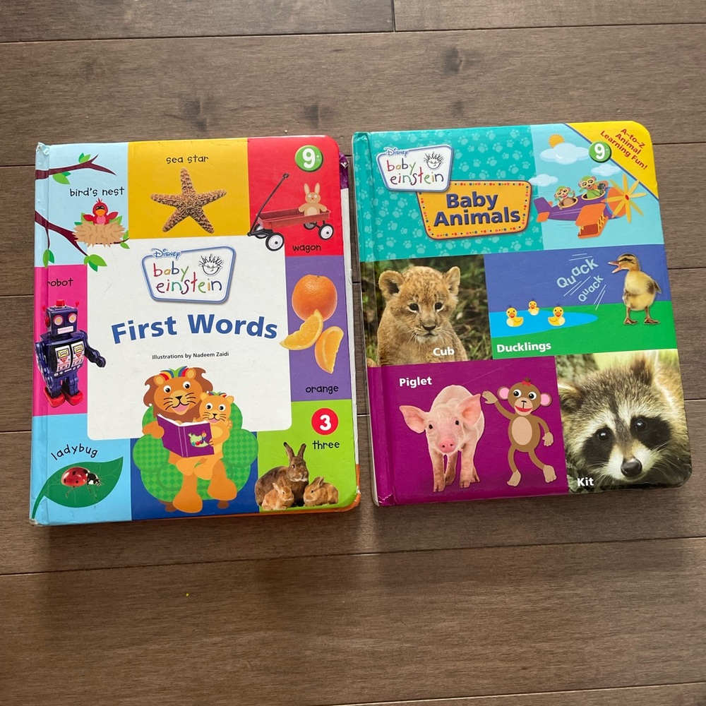Disney Baby Einstein First Words and Baby Animals Books used cond see pic
